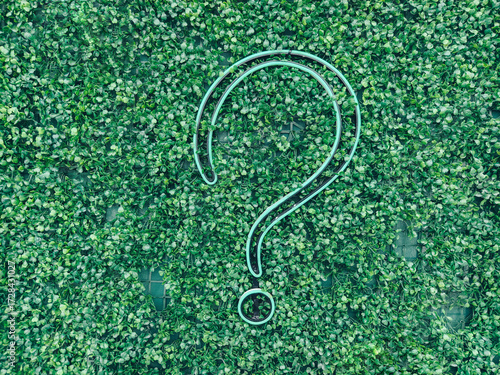 A question mark (?) with grass background, eco text effect. Ecological question. Advice and question.
