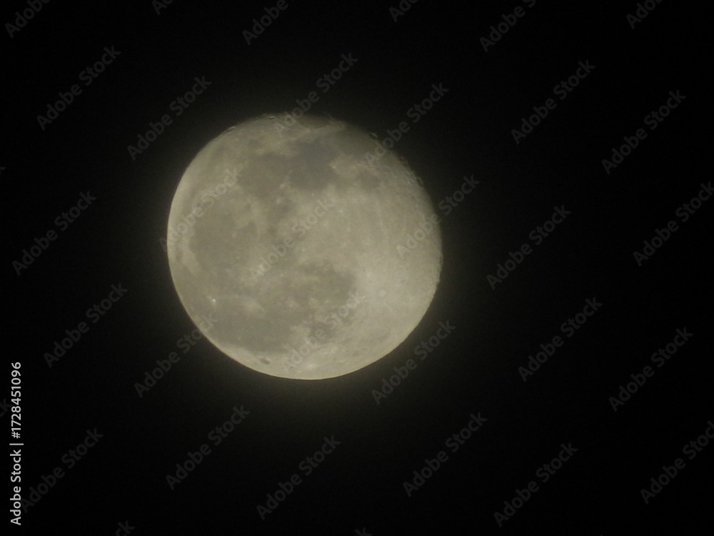 Obraz premium moon in the night