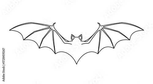 Line drawing of a bat with wings spread, isolated on white.