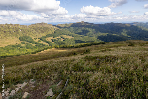 Fototapeta Naklejka Na Ścianę i Meble -  Hiking along the red trail to the highest peak of the Bieszczady Mountains - Tarnica