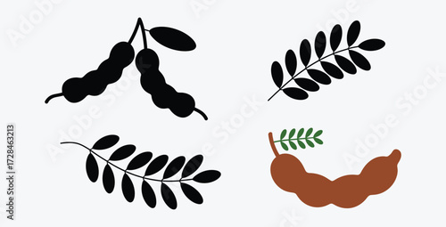 Tamarind Vector Illustration Minimalist Design With Leaves and Brown Fruit