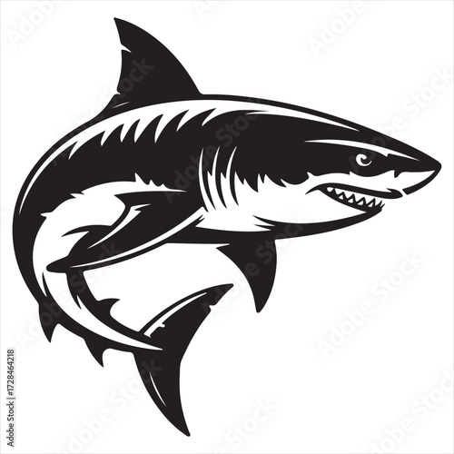 shark vector illustration