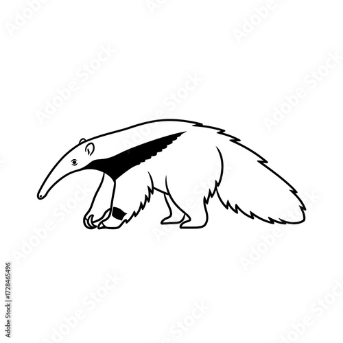 Black and white illustration of an anteater with a long snout and a fluffy tail.