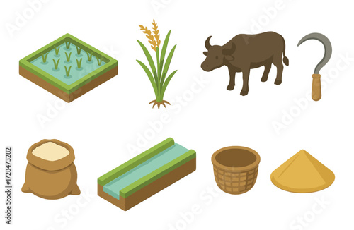 Rice cultivation elements: paddy field, water buffalo, sickle, irrigation, grain processing