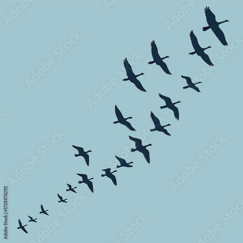 Flock of geese flying in formation against a clear blue sky, creating a sense of migration and freedom