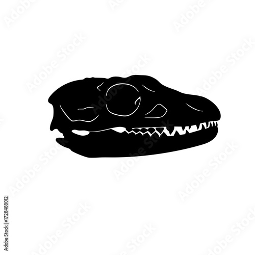 Simple Silhouette Dinosaur Skull Side View Paleontology Illustration