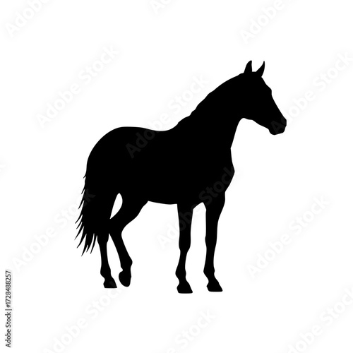 Minimalist Silhouette Horse Animal Farm Mammal Equestrian Black Icon Illustration
