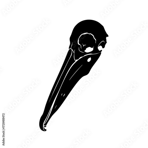Detailed Black Silhouette Bird Skull with Beak Illustration Artwork