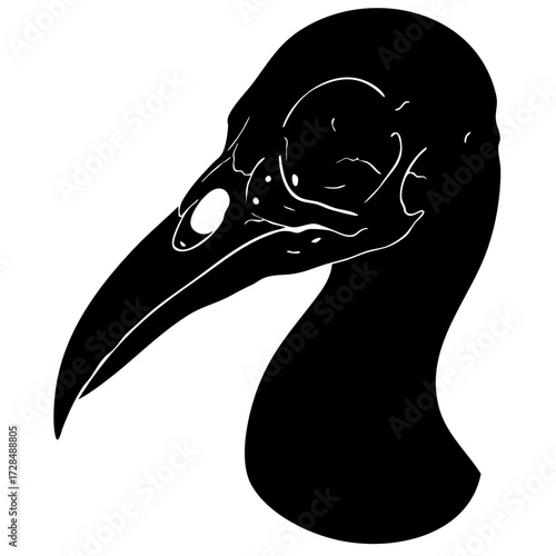 Silhouette Detailed Black Skull of Ibis Bird Head Artistic Illustration