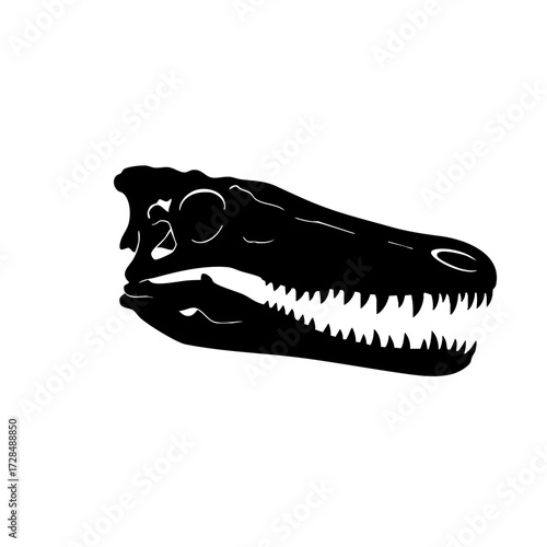 Silhouette Detail Spinosaurus Skull Fossil Remains Extinct Animal Paleontology Illustration