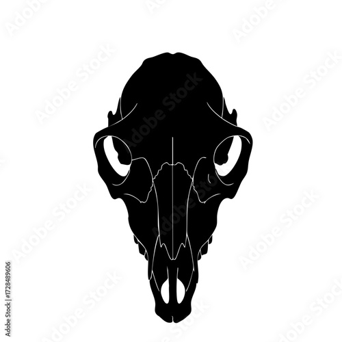Simple Silhouette Animal Skull Front View Illustration Isolated On White Background