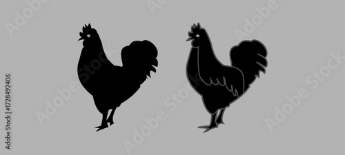 Chicken hen standing. chickens and roosters in various poses against a Grey background.