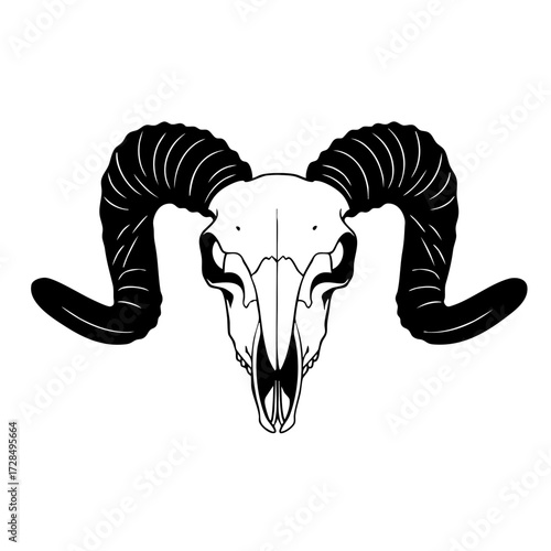 Minimalist Line Drawing Ram Skull with Detailed Horns Illustration