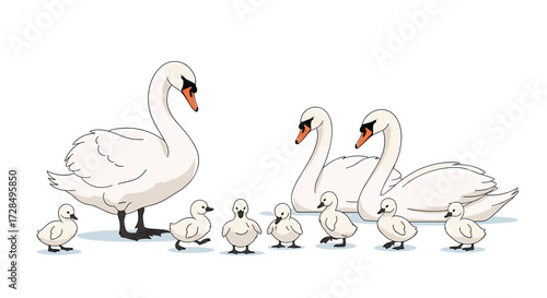 A family of swans with their cygnets gathered together on the ground.