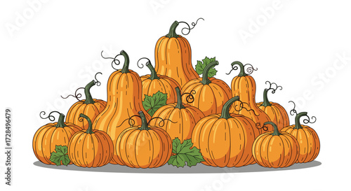 A bountiful harvest of assorted pumpkins on display.