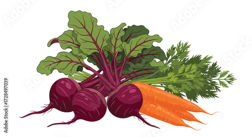 Healthy root vegetables like beets and carrots are excellent for your diet.