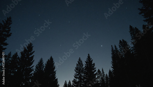 Wallpaper Mural Pine Trees Against Starry Night Sky Torontodigital.ca