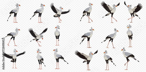 A collection of Secretarybird illustrations in various dynamic poses, showcasing different movements and perspectives.