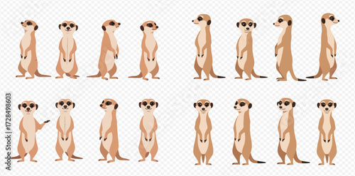 Fotografie An illustrated set of adorable meerkats standing on their hind legs in various upright poses
