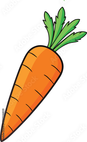 Stylized orange carrot with green leafy top on white background vegetable food vector illustration EPS file download.