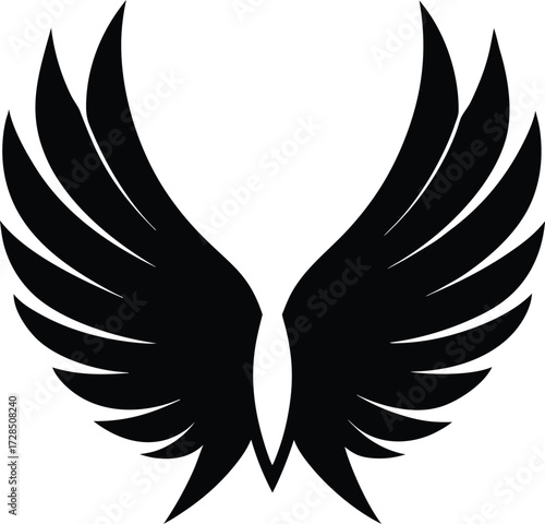 Stylized black angel wings graphic on white background vector