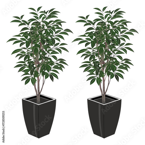 Would you like the prompt to focus on generating a photorealistic indoor plant in a modern pot for use in product design, interior decor scenes, or as a standalone PNG asset with transparent backgroun
