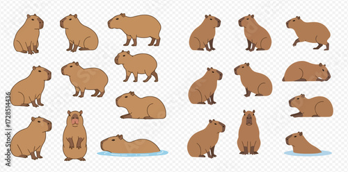 Cute cartoon capybaras illustrated in a variety of poses, including sitting, standing, walking, lying down, and swimming.