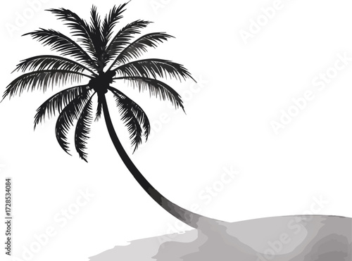 palm tree silhouette