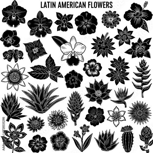 Vintage Engraving Style Latin American Flowers and Tropical Plants Vector Collection