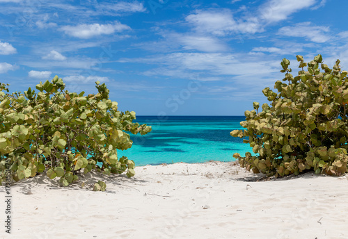 Scenic view of a tropical beach, white sand, green vegetation and an amazing turquoise streaked sea. Paradise on earth, peaceful, nobody around. Luxury vacation concept. Copy space. 