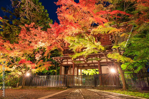 ライトアップされた紅葉と東漸寺の仁王門
