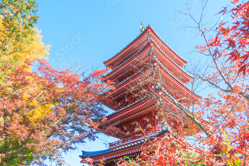本土寺の五重塔と紅葉した風景