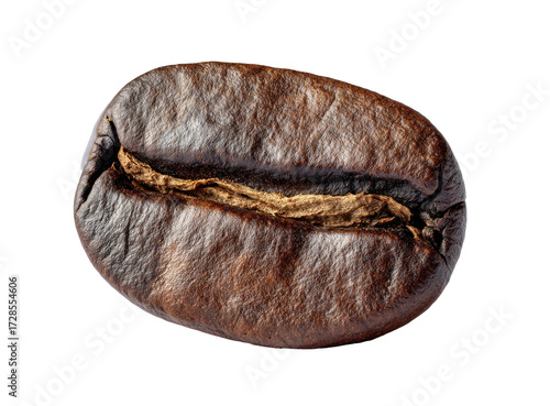 Close-up of a single coffee bean (7)