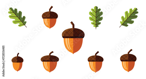 Acorns and oak leaves arranged on white surface creating autumn themed composition, representing fall harvest and nature's bounty, conveying seasonal warmth and abundance.