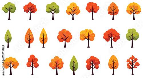 Colorful trees stand tall in autumn forest showing vibrant foliage and seasonal change, creating a peaceful and scenic woodland landscape.