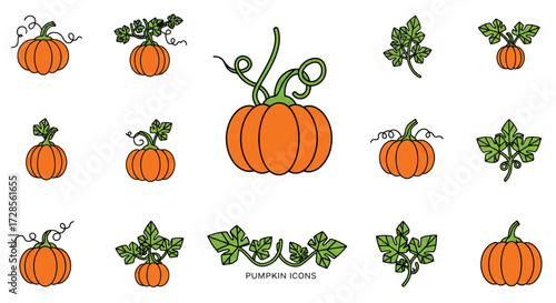 Pumpkins arranged with leaves and vines, showcasing autumn harvest and seasonal abundance in a cheerful, festive mood.