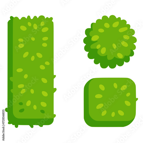 bush hedges decoration park yard outdoor flat color vector illustration template design