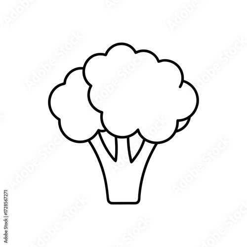 Simple broccoli outline on transparent background