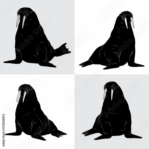 Silhouettes of a Walrus