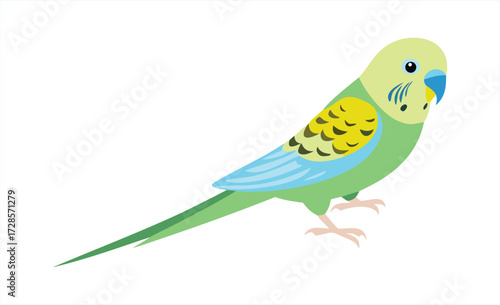 Adorable green and yellow budgerigar parrot perched isolated on a plain background ready for your design projects