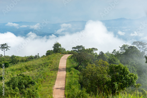 Road and curve views nature and mountains
