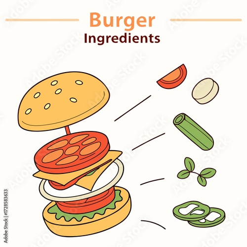 Burger ingredients exploded view