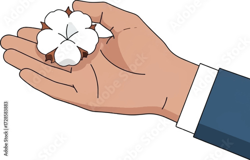 Hand holding a cotton flower, with a suit sleeve visible.