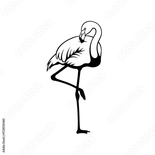 A black and white line art illustration of a graceful flamingo standing on one leg and preening its feathers.