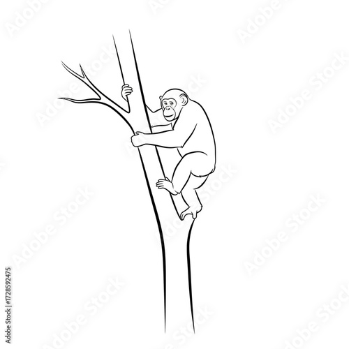 A chimpanzee is depicted climbing a tree with its hands and feet gripping the bark.