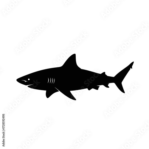 Silhouette of a great white shark, showcasing its sleek form and predatory nature in a stark black and white style.