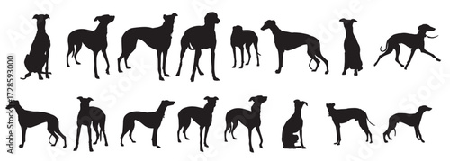 grey hound silhouette set vector illustration