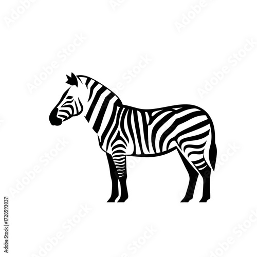 Black and white illustration of a zebra standing sideways on a clean white background, showcasing its distinctive striped pattern.