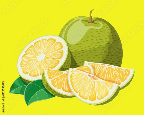 Pomelo or Green Grapefruit Illustration with Slices