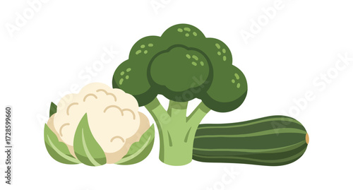 Cauliflower broccoli zucchini illustration